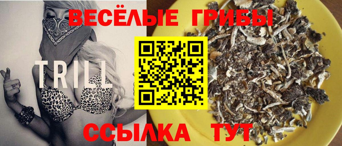 Берёзовский  Псилоцибиновые грибы MAGIC MUSHROOMS  Псилоцибиновые грибы Cubensis  где продают   Вход с VPN 