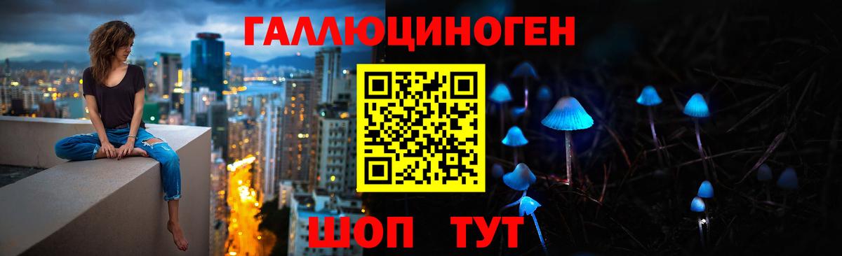Галлюциногенные грибы Cubensis Берёзовский